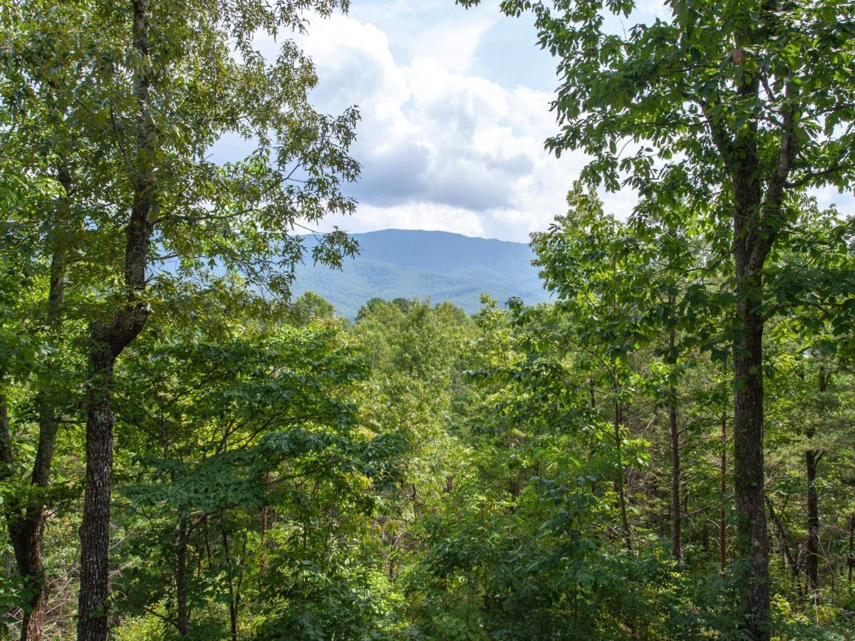 Вілла Mountain Charm Гатлінбург Екстер'єр фото
